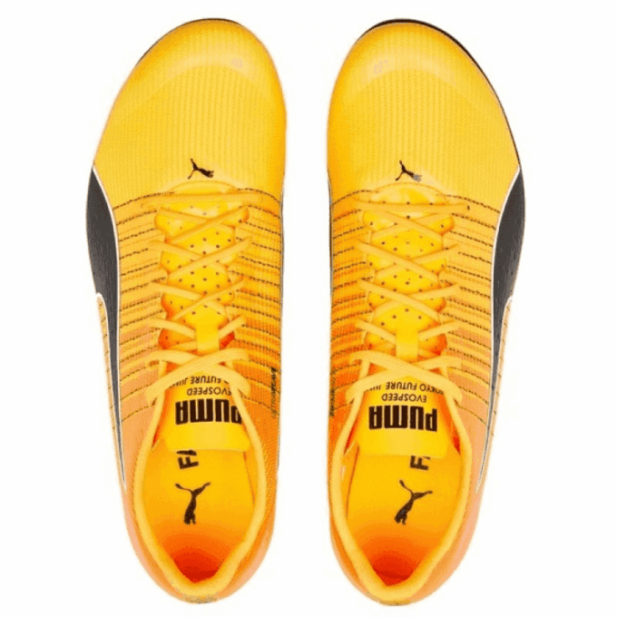 evoSpeed  Tokyo Future Faster ”Sun Stream Sunset Glow”