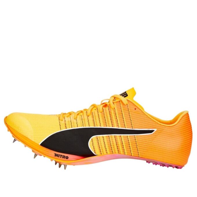 evoSPEED Tokyo Nitro ”Sun Stream”