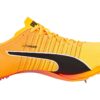 evoSPEED Tokyo Nitro ”Sun Stream”