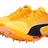evoSPEED Tokyo Nitro ”Sun Stream”