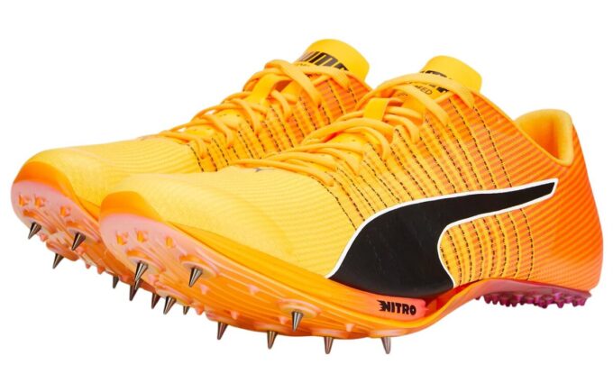 evoSPEED Tokyo Nitro ”Sun Stream”