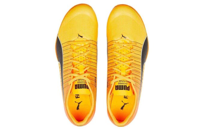 evoSPEED Tokyo Nitro ”Sun Stream”
