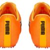 evoSPEED Tokyo Nitro ”Sun Stream”