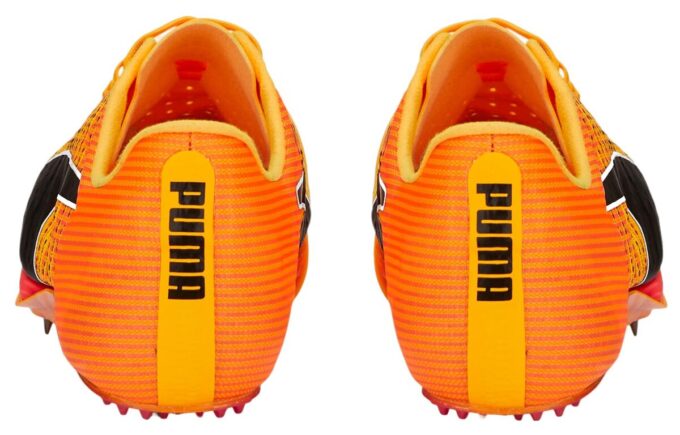 evoSPEED Tokyo Nitro ”Sun Stream”