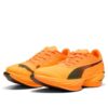 Fast-R Nitro Elite 3 ”Heat Fire Sun Stream”