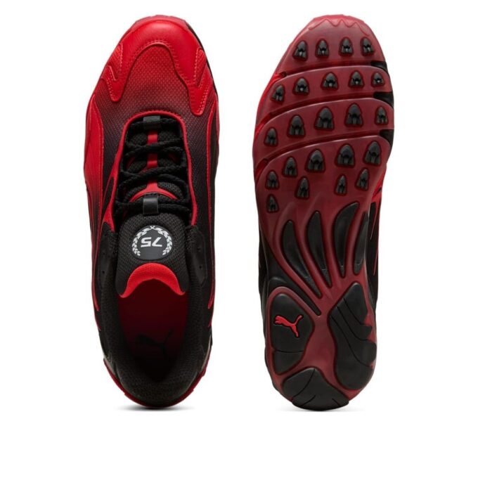 Formel 1 75 år ”Black Pop Red”
