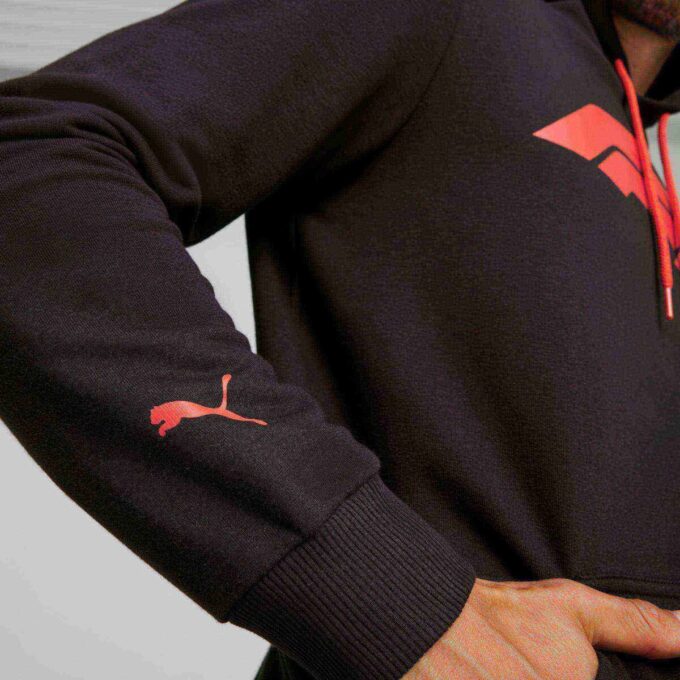 Formula 1® Motorsport Essentials Herrtröja