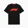 Formula 1® Motorsport Essentials Herrtröja