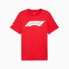 Formula 1® Motorsport Essentials Herrtröja