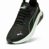 Förstärkare Herr Sneakers