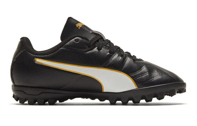 (GS) Classico C II TT ”Svartvitt guld”