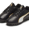 (GS) Classico C II TT ”Svartvitt guld”