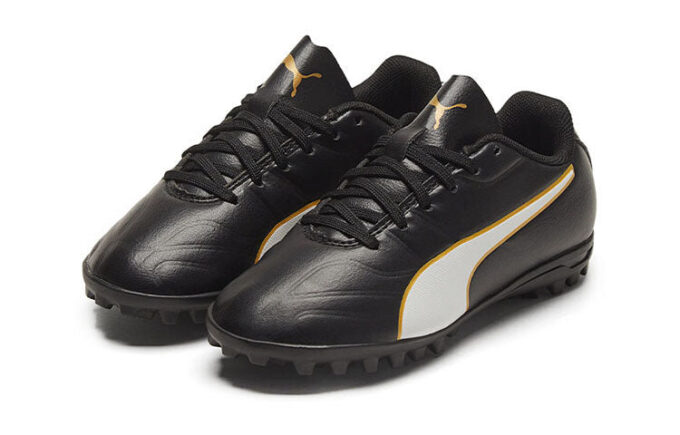 (GS) Classico C II TT ”Svartvitt guld”