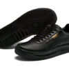 (GS) GV Special ”Black Team Gold”
