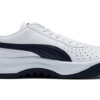 (GS) GV Special ”Vit Peacoat”