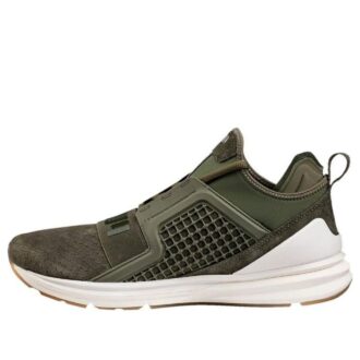Ignite Limitless Reptile ”Retro Versatile Green”