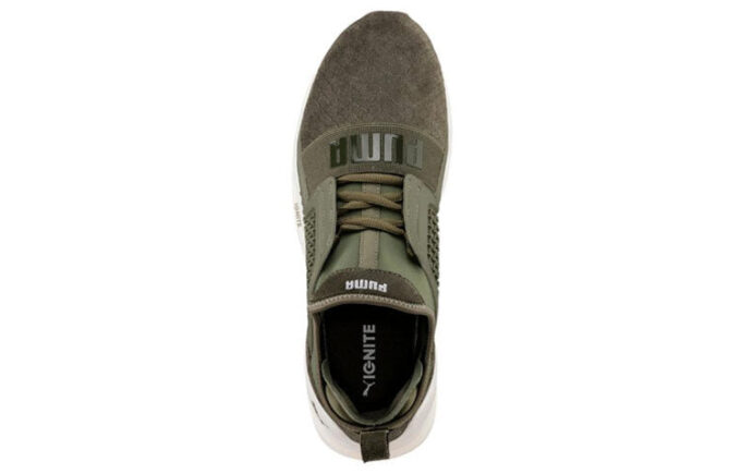 Ignite Limitless Reptile ”Retro Versatile Green”