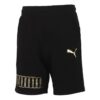 Logotyp Sport Shorts ”Svart”