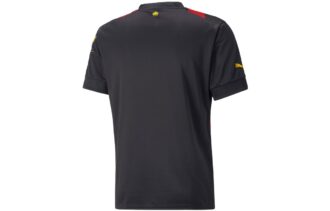 Manchester City FC Bortatröja ”Röd”