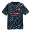Mcfc 3:e replikan 2023 ”Multicolor”