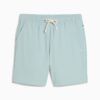 MMQ Herrshorts