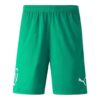 Neymar Jr Fotbollsshorts ”Gröna”