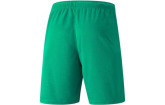 Neymar Jr Fotbollsshorts ”Gröna”