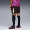 Premier League Brilliance Herr Fotbollsshorts Premier League Brilliance Herr Fotbollsshorts