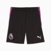Premier League Brilliance Herr Fotbollsshorts Premier League Brilliance Herr Fotbollsshorts
