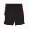 Premier League Brilliance Herr Fotbollsshorts Premier League Brilliance Herr Fotbollsshorts