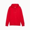 Premium Essentials Graphic Hoodie Premium Essentials Graphic Hoodie