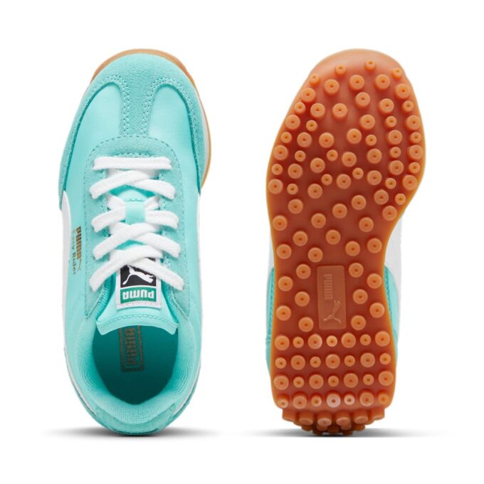 (PS) Easy Rider Vintage ”Mint”