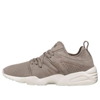 PUMA Blaze Ct Grå