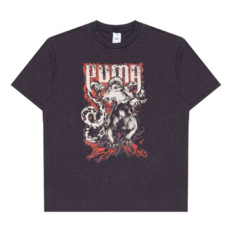 PUMA x ARIES Graphic T-shirt ”Svart”