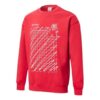 PUMA x Michael Lau Graphic Långärmade Rundringade Tröjor ”Röd”