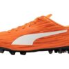 Rapido III MG ”Orangevit”