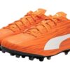 Rapido III MG ”Orangevit”