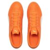 Rapido III MG ”Orangevit”