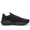 Scend Pro ”Svart Silver”