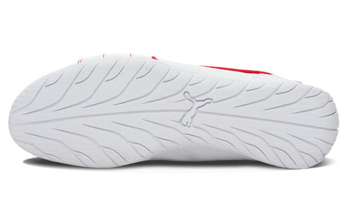 Scuderia Ferrari x Neo Cat Motorsport ”Vit”