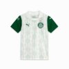 SE Palmeiras Torcedor ’25 Away Big Kids’ fotbollströja SE Palmeiras Torcedor ’25 Away Big Kids’ fotbollströja