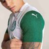 SE Palmeiras Torcedor ’25 Away Men fotbollströja SE Palmeiras Torcedor ’25 Away Men fotbollströja