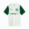 SE Palmeiras Torcedor ’25 Away Men fotbollströja SE Palmeiras Torcedor ’25 Away Men fotbollströja