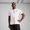 Senegal 2025 Herr Hemmatröja Replika Fotboll Senegal 2025 Herr Hemmatröja Replika Fotboll