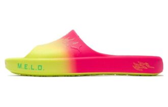 Shibui Cat Slide x Rick and Morty x LaMelo Ball ”Äventyr”