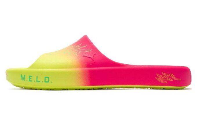 Shibui Cat Slide x Rick and Morty x LaMelo Ball ”Äventyr”
