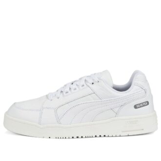Slipstream Lo DC GORE-TEX ”Trippelvit”