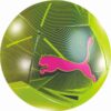 Stor katt minifotboll Stor katt minifotboll