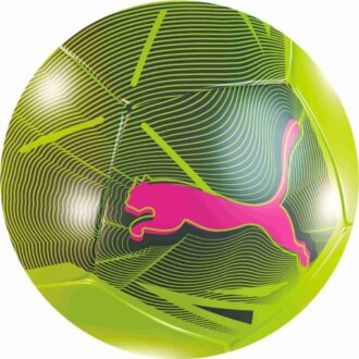 Stor katt minifotboll