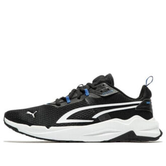 Stride ”Svartvit Royal Sapphire”